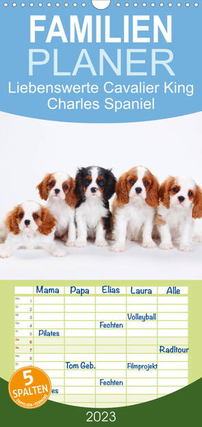 Familienplaner Liebenswerte Cavalier King Charles Spaniel (Wandkalender 2023 , 21 cm x 45 cm, hoch) von Wegner,  Petra