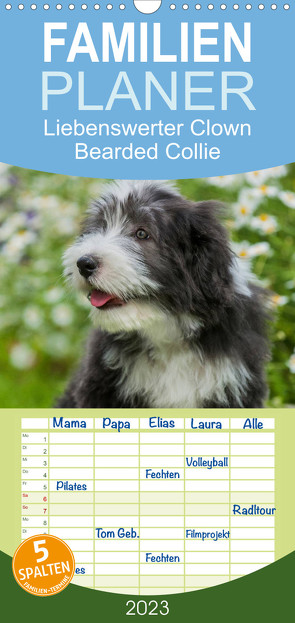 Familienplaner Liebenswerter Clown Bearded Collie (Wandkalender 2023 , 21 cm x 45 cm, hoch) von Starick,  Sigrid