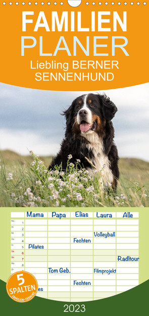 Familienplaner Liebling BERNER SENNENHUND (Wandkalender 2023 , 21 cm x 45 cm, hoch) von Mirsberger,  Annett, www.tierpfoto.de