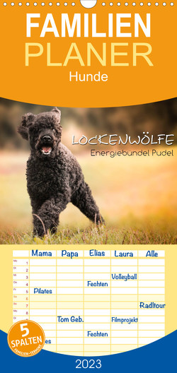 Familienplaner Lockenwölfe – Energiebündel Pudel (Wandkalender 2023 , 21 cm x 45 cm, hoch) von Hollstein,  Alexandra