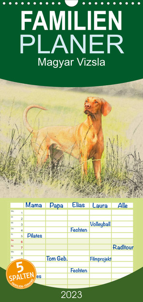 Familienplaner Magyar Vizsla 2023 (Wandkalender 2023 , 21 cm x 45 cm, hoch) von Redecker,  Andrea