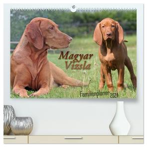 Familienplaner – Magyar Vizsla (hochwertiger Premium Wandkalender 2024 DIN A2 quer), Kunstdruck in Hochglanz von Mielewczyk,  Barbara