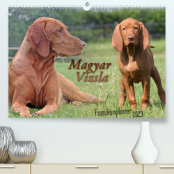 Familienplaner – Magyar Vizsla (Premium, hochwertiger DIN A2 Wandkalender 2023, Kunstdruck in Hochglanz) von Mielewczyk,  Barbara