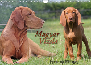 Familienplaner – Magyar Vizsla (Wandkalender 2023 DIN A4 quer) von Mielewczyk,  Barbara