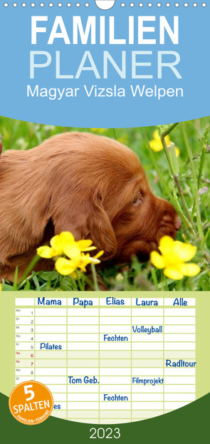 Familienplaner Magyar Vizsla Welpen (Wandkalender 2023 , 21 cm x 45 cm, hoch) von Grüttner,  Kerstin