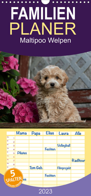 Familienplaner Maltipoo Welpen (Wandkalender 2023 , 21 cm x 45 cm, hoch) von Schultz,  Tanja