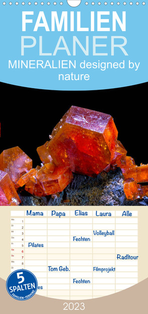 Familienplaner MINERALIEN designed by nature (Wandkalender 2023 , 21 cm x 45 cm, hoch) von Schmidbauer,  Heinz