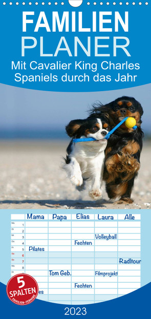 Familienplaner Mit Cavalier King Charles Spaniels durch das Jahr (Wandkalender 2023 , 21 cm x 45 cm, hoch) von Wegner,  Petra