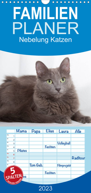 Familienplaner Nebelung Katzen (Wandkalender 2023 , 21 cm x 45 cm, hoch) von Verena Scholze,  Fotodesign