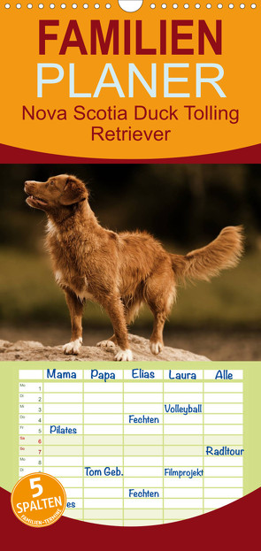 Familienplaner Nova Scotia Duck Tolling Retriever (Wandkalender 2023 , 21 cm x 45 cm, hoch) von Müller Hundefotowerk,  Beatrice