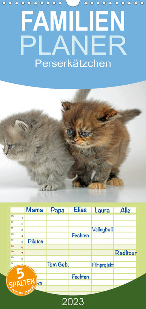 Familienplaner Perserkätzchen (Wandkalender 2023 , 21 cm x 45 cm, hoch) von Eppele,  Klaus