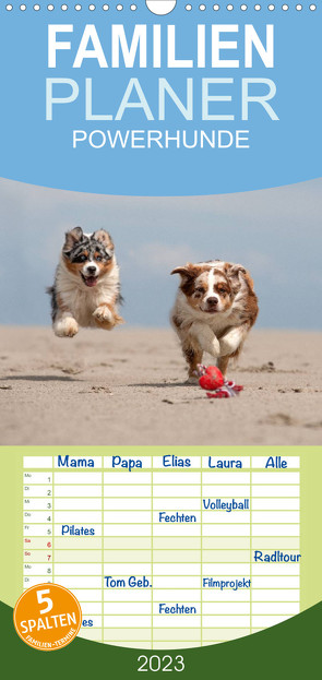 Familienplaner POWERHUNDE 2023 (Wandkalender 2023 , 21 cm x 45 cm, hoch) von Mirsberger,  Annett