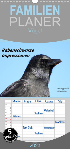 Familienplaner Rabenschwarze Impressionen – meike-ajo-dettlaff.de via wildvogelhlfe.org (Wandkalender 2023 , 21 cm x 45 cm, hoch) von AJo. Dettlaff,  Meike