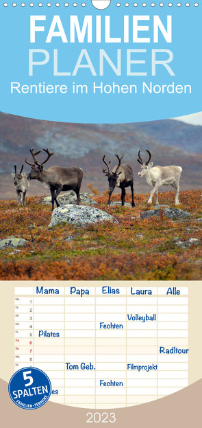 Familienplaner Rentiere im Hohen Norden (Wandkalender 2023 , 21 cm x 45 cm, hoch) von GUGIGEI