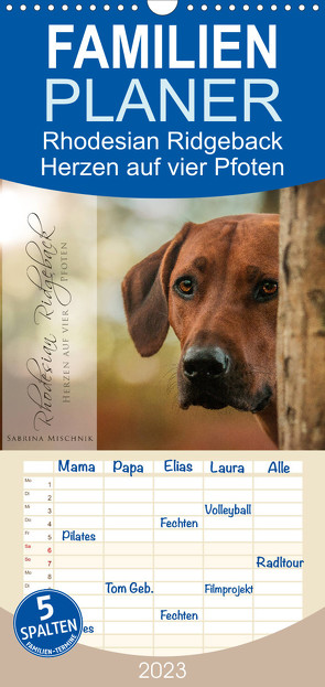 Familienplaner Rhodesian Ridgeback – Herzen auf vier Pfoten (Wandkalender 2023 , 21 cm x 45 cm, hoch) von Mischnik,  Sabrina