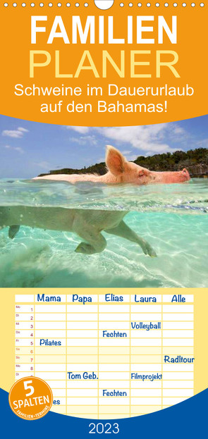 Familienplaner Schweine im Dauerurlaub auf den Bahamas! (Wandkalender 2023 , 21 cm x 45 cm, hoch) von Stanzer,  Elisabeth