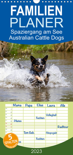 Familienplaner Spaziergang am See Australian Cattle Dogs (Wandkalender 2023 , 21 cm x 45 cm, hoch) von Verena Scholze,  Fotodesign