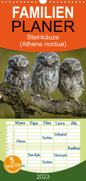 Familienplaner Steinkäuze (Athene noctua) (Wandkalender 2023 , 21 cm x 45 cm, hoch) von Rusch,  Winfried