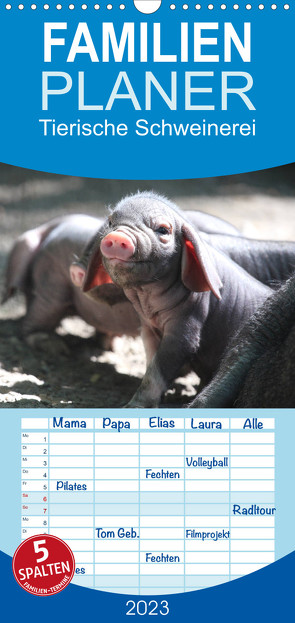 Familienplaner Tierische Schweinerei (Wandkalender 2023 , 21 cm x 45 cm, hoch) von Mielewczyk,  Barbara