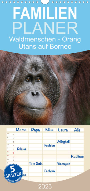 Familienplaner Waldmenschen – Orang Utans auf Borneo (Wandkalender 2023 , 21 cm x 45 cm, hoch) von Herzog,  Michael