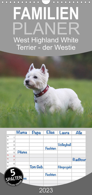 Familienplaner West Highland White Terrier – Selbstbewustes Powerpaket – der Westie (Wandkalender 2023 , 21 cm x 45 cm, hoch) von Mielewczyk,  Barbara