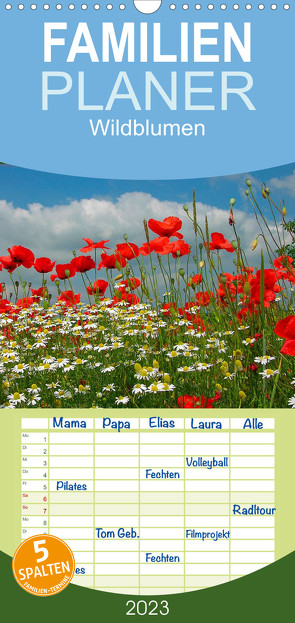 Familienplaner Wildblumen 2023 (Wandkalender 2023 , 21 cm x 45 cm, hoch) von Geduldig,  Bildagentur