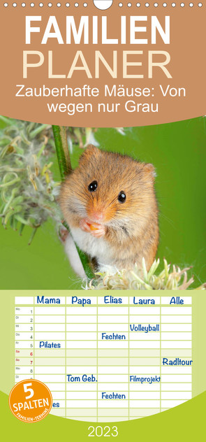Familienplaner Zauberhafte Mäuse: Von wegen nur Grau (Wandkalender 2023 , 21 cm x 45 cm, hoch) von CALVENDO
