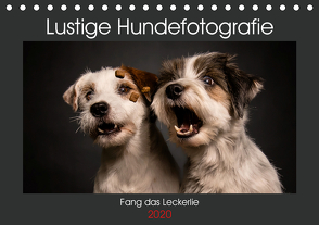 Fang das Leckerlie (Tischkalender 2020 DIN A5 quer) von Heggemann / Eyecatcher-Fotografie,  Christiane