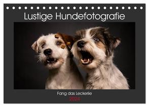 Fang das Leckerlie (Tischkalender 2024 DIN A5 quer), CALVENDO Monatskalender von Heggemann / Eyecatcher-Fotografie,  Christiane