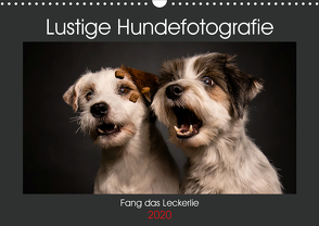 Fang das Leckerlie (Wandkalender 2020 DIN A3 quer) von Heggemann / Eyecatcher-Fotografie,  Christiane