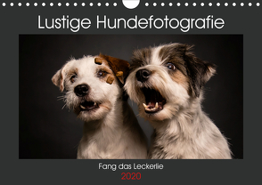 Fang das Leckerlie (Wandkalender 2020 DIN A4 quer) von Heggemann / Eyecatcher-Fotografie,  Christiane