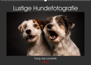 Fang das Leckerlie (Wandkalender 2023 DIN A2 quer) von Heggemann / Eyecatcher-Fotografie,  Christiane