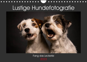 Fang das Leckerlie (Wandkalender 2023 DIN A4 quer) von Heggemann / Eyecatcher-Fotografie,  Christiane