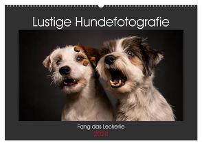 Fang das Leckerlie (Wandkalender 2024 DIN A2 quer), CALVENDO Monatskalender von Heggemann / Eyecatcher-Fotografie,  Christiane