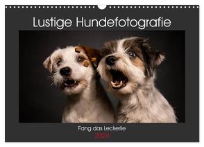 Fang das Leckerlie (Wandkalender 2024 DIN A3 quer), CALVENDO Monatskalender von Heggemann / Eyecatcher-Fotografie,  Christiane