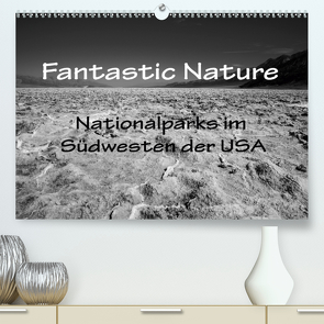 Fantastic Nature – Nationalparks im Südwesten der USA (Premium, hochwertiger DIN A2 Wandkalender 2020, Kunstdruck in Hochglanz) von Müller,  Reinhard