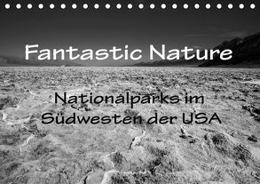 Fantastic Nature – Nationalparks im Südwesten der USA (Tischkalender 2019 DIN A5 quer) von Müller,  Reinhard