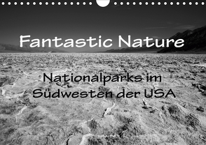 Fantastic Nature – Nationalparks im Südwesten der USA (Wandkalender 2020 DIN A4 quer) von Müller,  Reinhard