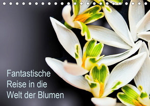 Fantastische Reise in die Welt der Blumen (Tischkalender 2021 DIN A5 quer) von Klöppel,  Anke