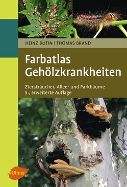 Farbatlas Gehölzkrankheiten von Brand,  Thomas, Butin,  Heinz