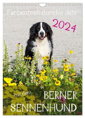 Farbenfroh durch’s Jahr mit dem Berner Sennenhund (Wandkalender 2024 DIN A4 hoch), CALVENDO Monatskalender von Brenner,  Sonja