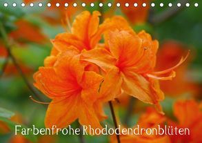 Farbenfrohe Rhododendronblüten (Tischkalender 2019 DIN A5 quer) von kattobello