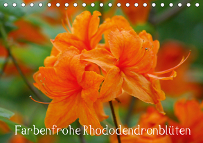 Farbenfrohe Rhododendronblüten (Tischkalender 2020 DIN A5 quer) von kattobello