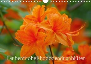 Farbenfrohe Rhododendronblüten (Wandkalender 2018 DIN A4 quer) von kattobello