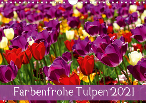 Farbenfrohe Tulpen 2021 (Wandkalender 2021 DIN A4 quer) von Vartzbed,  Klaus