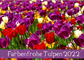 Farbenfrohe Tulpen 2022 (Wandkalender 2022 DIN A2 quer) von Vartzbed,  Klaus