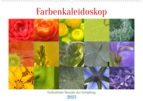 Farbenkaleidoskop (Wandkalender 2023 DIN A2 quer) von Wolf,  Heiko