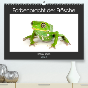 Farbenpracht der Frösche (Premium, hochwertiger DIN A2 Wandkalender 2023, Kunstdruck in Hochglanz) von Trapp,  Benny