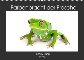 Farbenpracht der Frösche (Wandkalender 2022 DIN A2 quer) von Trapp,  Benny