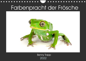 Farbenpracht der Frösche (Wandkalender 2022 DIN A4 quer) von Trapp,  Benny